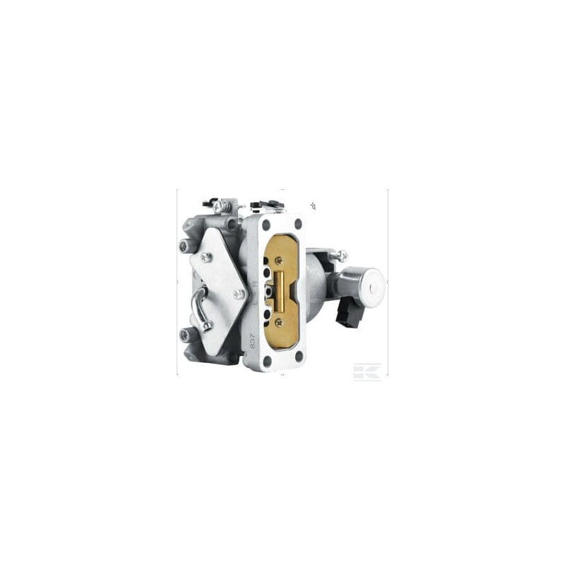 Kawasaki 150047031 Carburateur complet