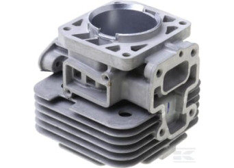Kawasaki 110050679 Cylindre moteur
