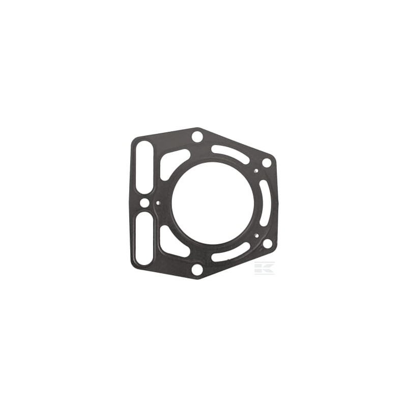 Kawasaki 110042144 Joint de culasse