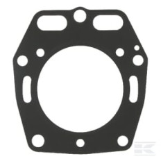 Kawasaki 110042104 Joint de culasse FD440V
