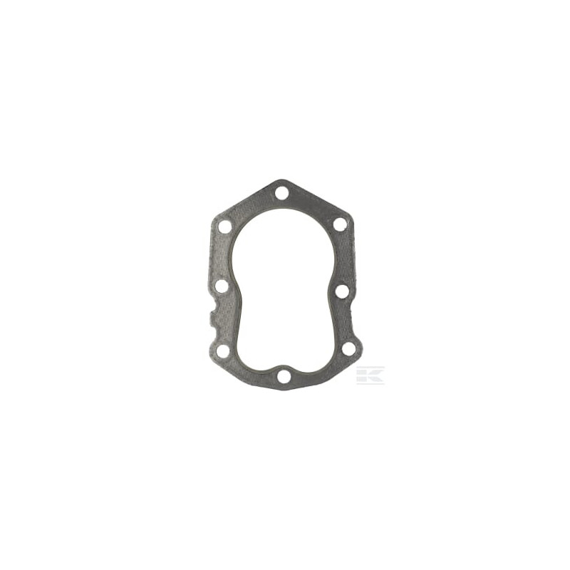 Kawasaki 110042137 Joint de culasse