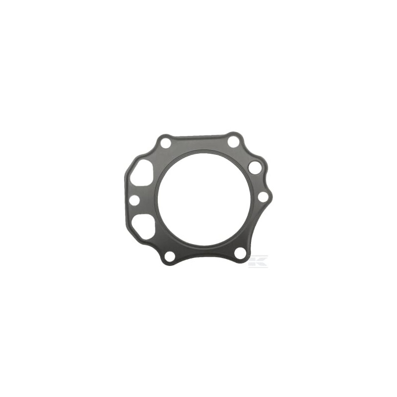 Kawasaki 110042138 Joint de culasse