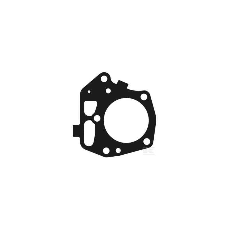 Kawasaki 110047027 Joint de culasse