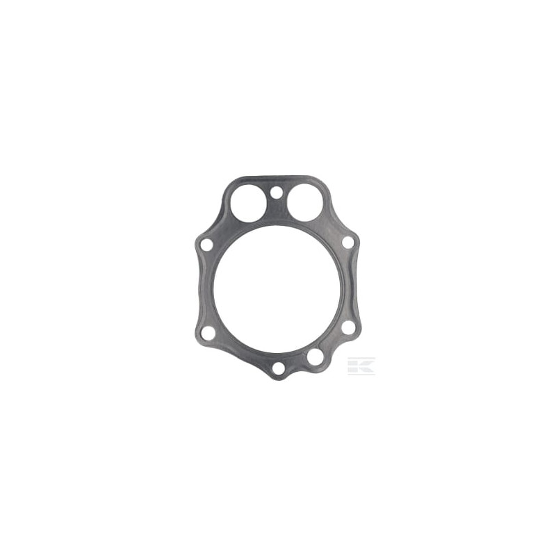 Kawasaki 110042141 Joint de culasse