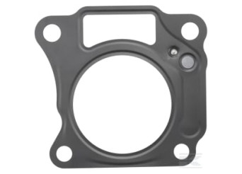 Kawasaki 110042147 Joint de culasse
