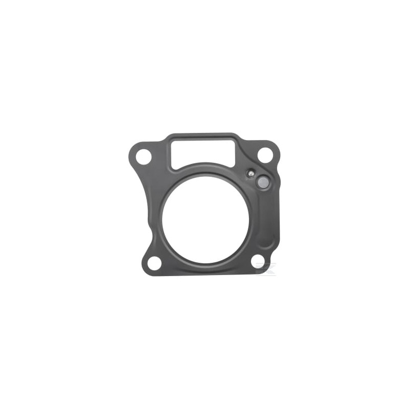 Kawasaki 110042147 Joint de culasse