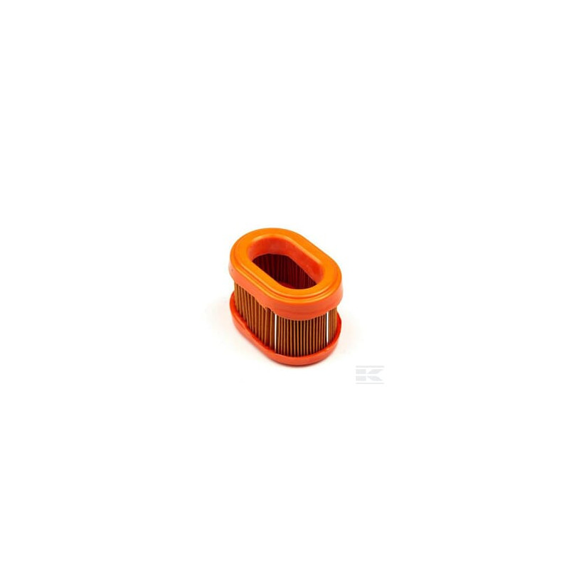 Briggs & Stratton  Filtre à air 790156