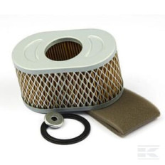 Briggs & Stratton  Filtre à air 797033