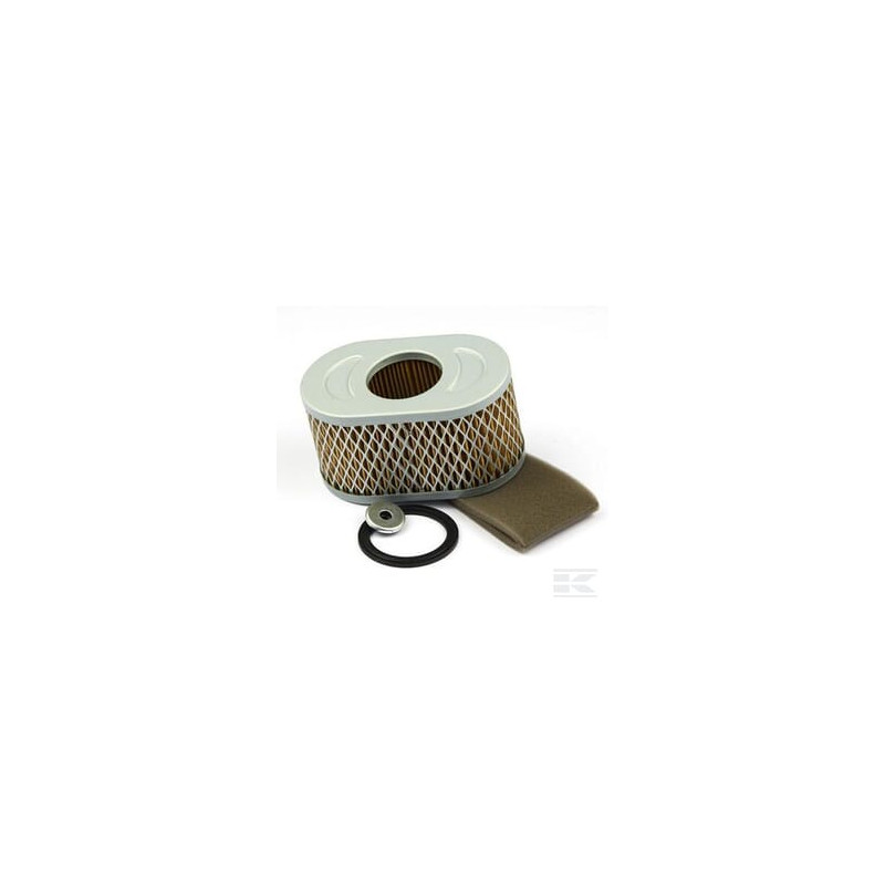 Briggs & Stratton  Filtre à air 797033