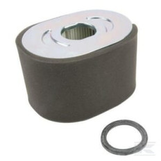 Briggs & Stratton  Filtre à air 799818