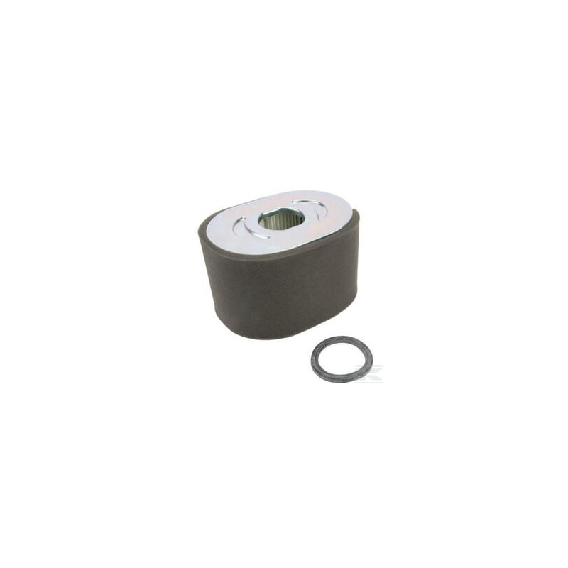 Briggs & Stratton  Filtre à air 799818