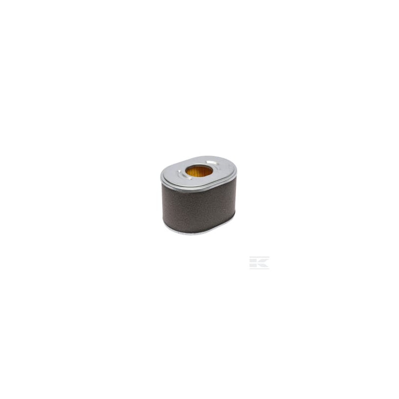 Briggs & Stratton  Filtre à cartouche A/C 595435