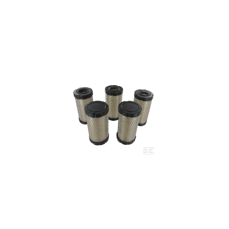 Briggs & Stratton  Filtre à air 5 x 793569