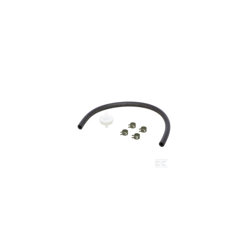 Briggs & Stratton 595824 Filtre de carburant