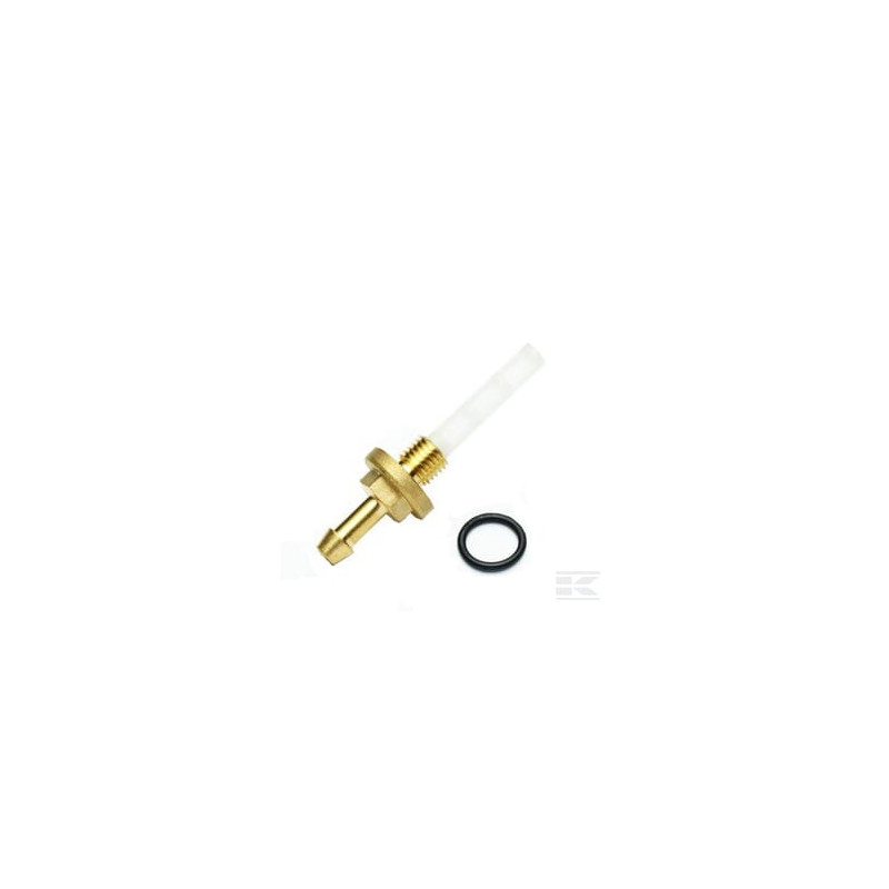 Briggs & Stratton 797346 Filtre de carburant