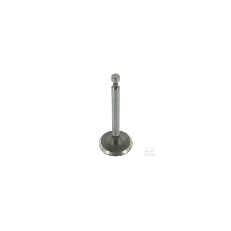 Etesia ET15267 Soupape d'admission