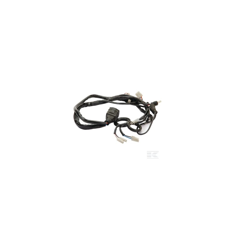 Etesia ET29876 Faisceau moteur