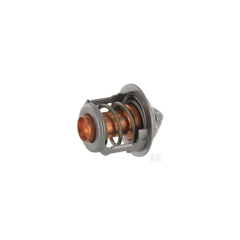 Etesia ET34392 Thermostat