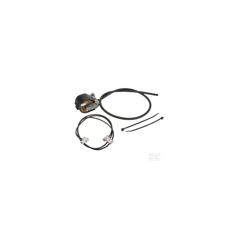 AS-Motor E10844ASM Bobine d'allumage