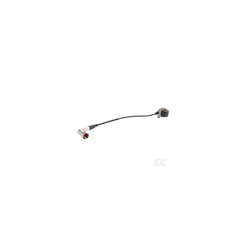 AS-Motor E11818ASM Bobine d'allumage