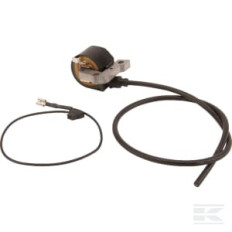 AS-Motor G00180066 Bobine d'allumage