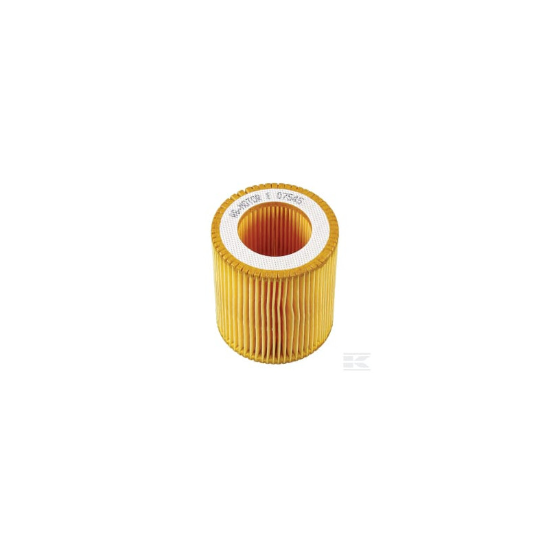 AS-Motor E07545ASM Filtre à air