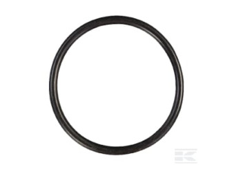AS-Motor E06177ASM Joint torique