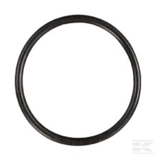 AS-Motor E06177ASM Joint torique