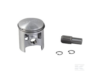 AS-Motor E10493ASM Piston D.59,92pluscage pal.aigui.