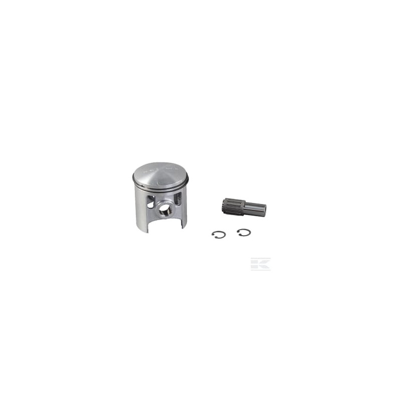 AS-Motor E10493ASM Piston D.59,92pluscage pal.aigui.