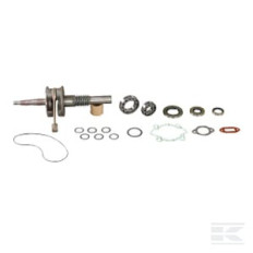 AS-Motor E10541ASM Vilebrequin plus éléments dinse