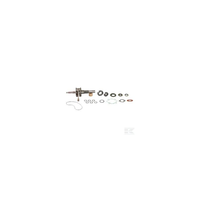 AS-Motor E10541ASM Vilebrequin plus éléments dinse