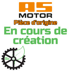 AS-Motor G00551103 Carburateur
