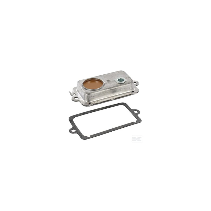 Briggs & Stratton 495734 Purgeur