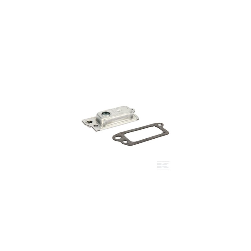 Briggs & Stratton 695250 Purge cpl.