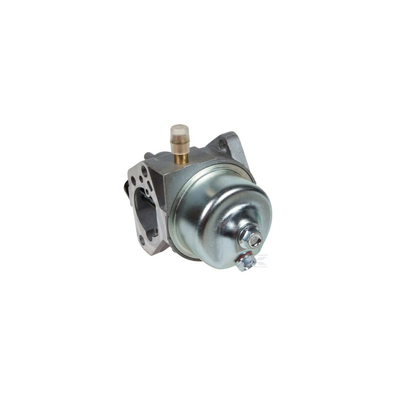 AL-KO AK455229 Carburateur
