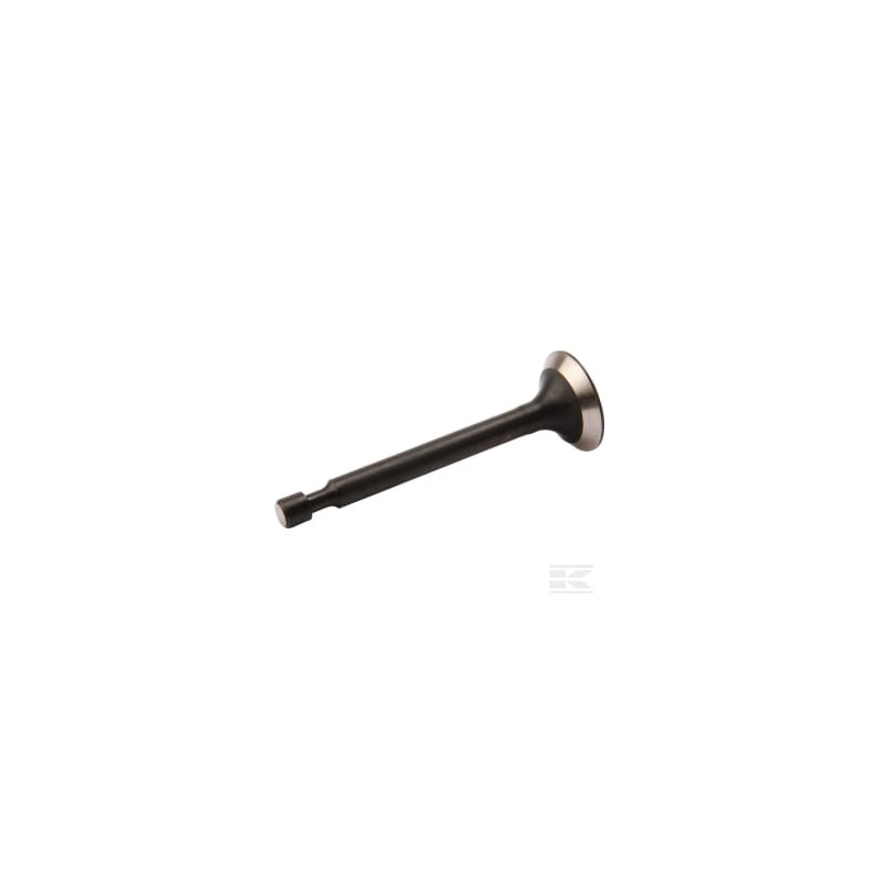 AL-KO AK411873 Soupape d'admission/d'échappement