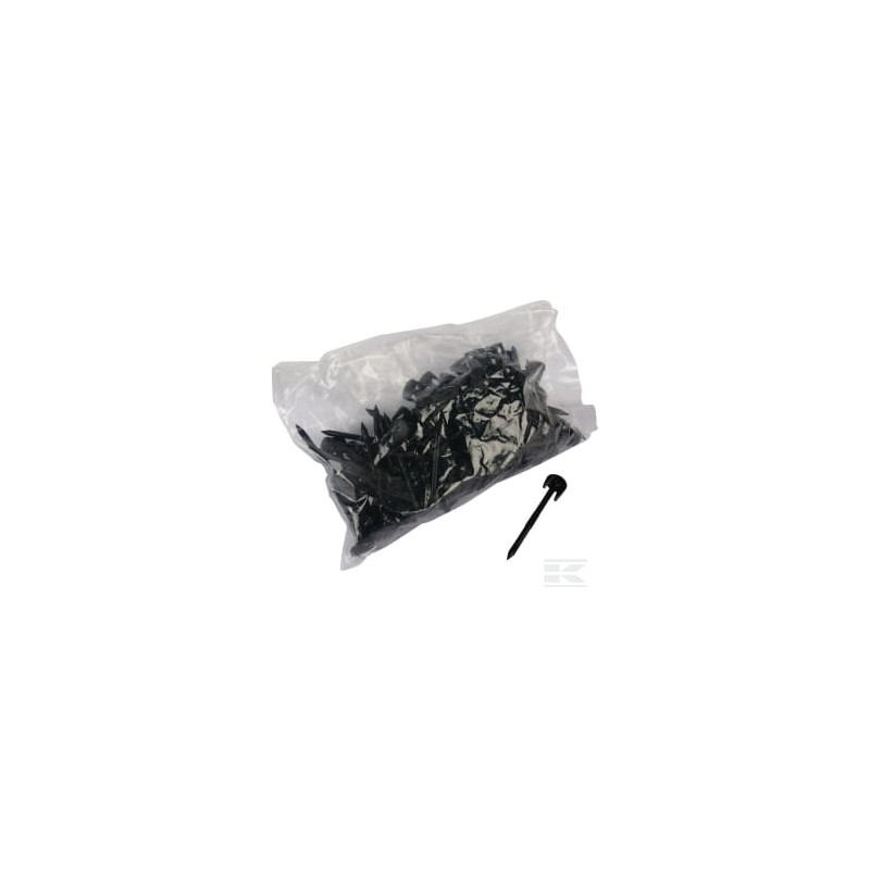 Ambrogio 200A00100A Clous de fixation 100 pièces