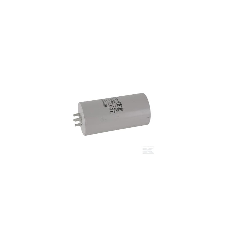 FGP013639 Condensateur avec fiche100µF