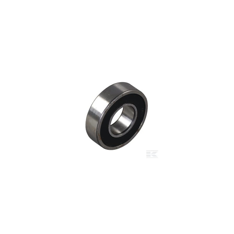 AS-Motor E02666ASM Roulement a rouleau