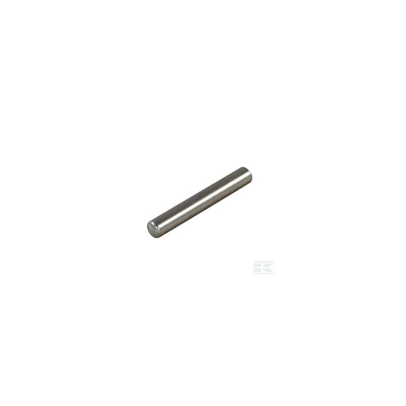 AS-Motor E06913ASM Axe