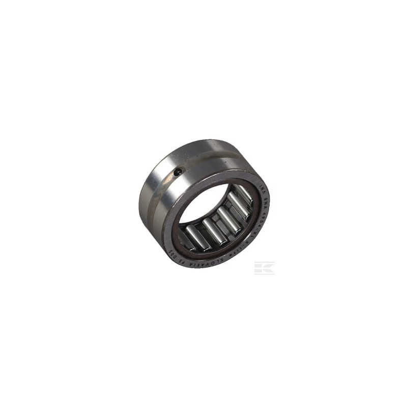 AS-Motor E03105ASM Roulement a aiguille
