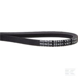 Honda 22431VK7750 Courroie trapézoïdale Z-30 12