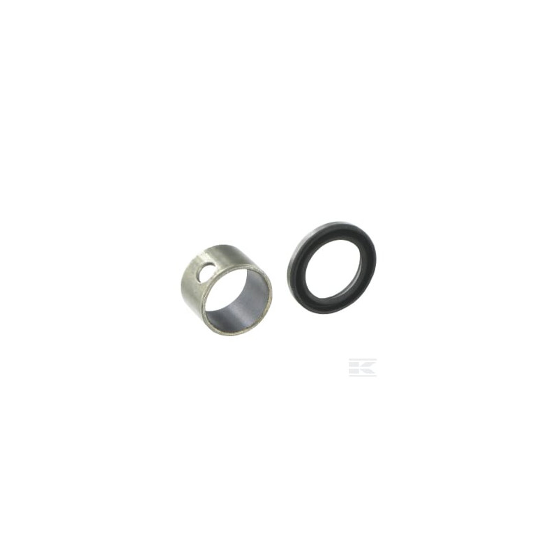 Briggs & Stratton 796961 Roulement avec Joint