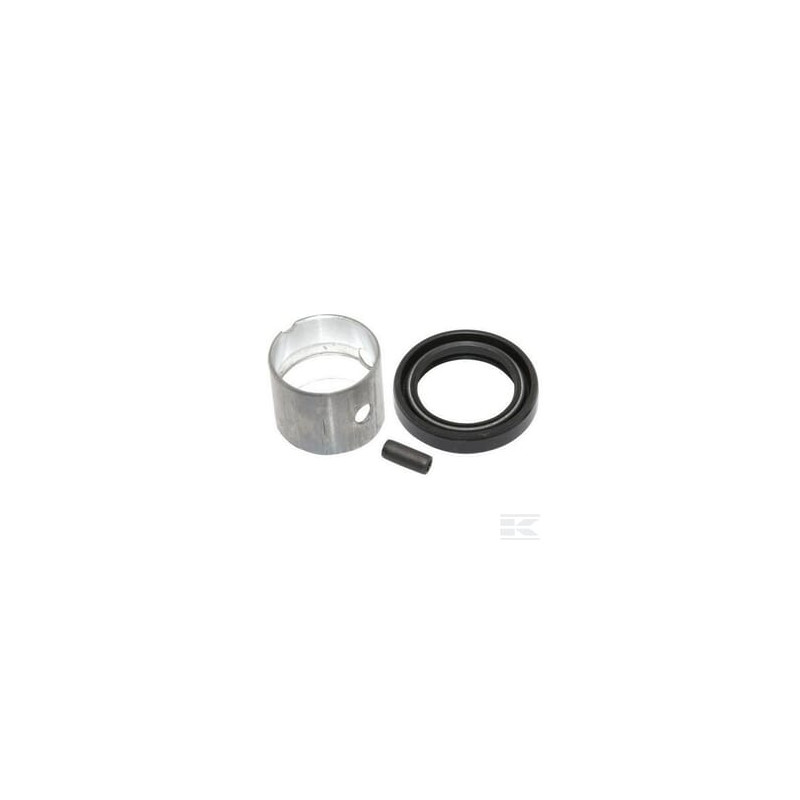Briggs & Stratton 807687 Douille