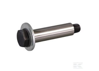 AS-Motor E03129ASM Vis d'axe