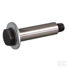 AS-Motor E03129ASM Vis d'axe