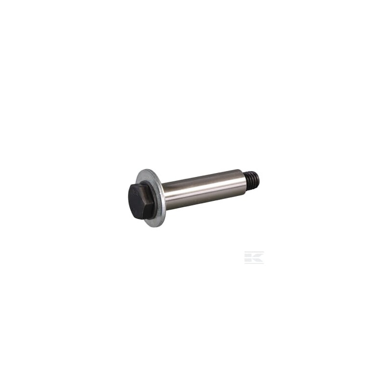 AS-Motor E03129ASM Vis d'axe