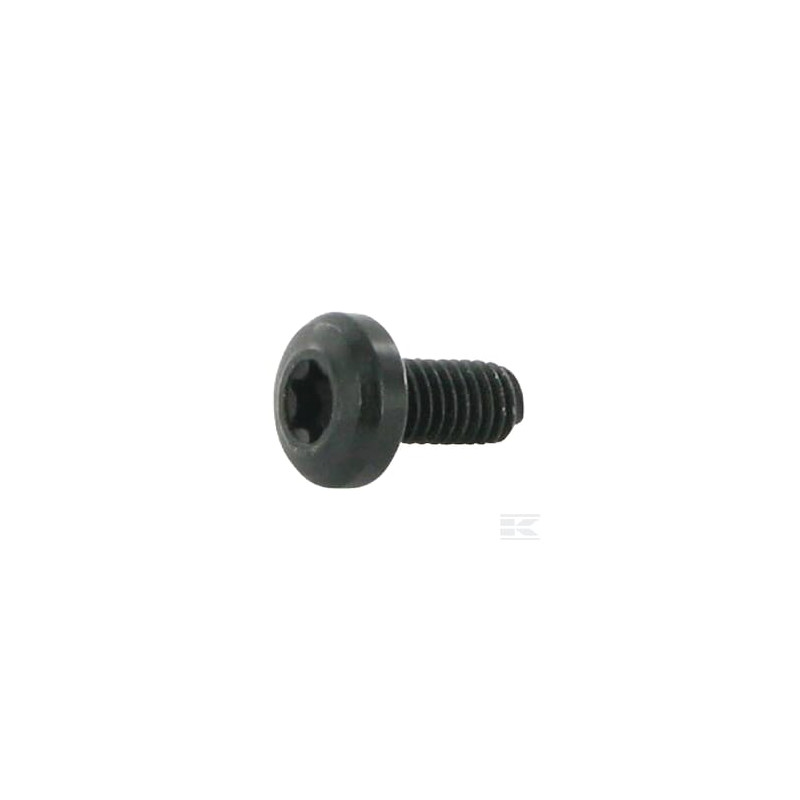 Castelgarden 1127356621 Vis M6x12