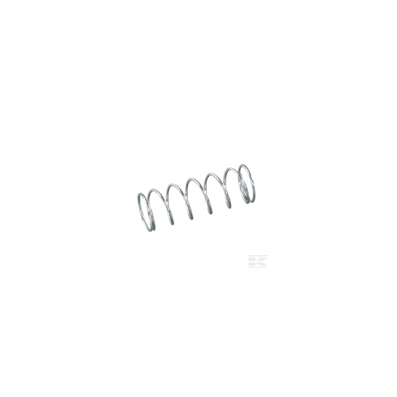 AS-Motor E05849ASM Ressort de pression (4)